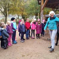 Besuch auf dem Gestüt in Neu-Bamberg